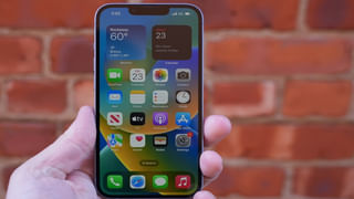 చిరుతల రాకతో భారతదేశం చరిత్రను తిరగరాసిందిః ప్రధాని నరేంద్ర మోదీ