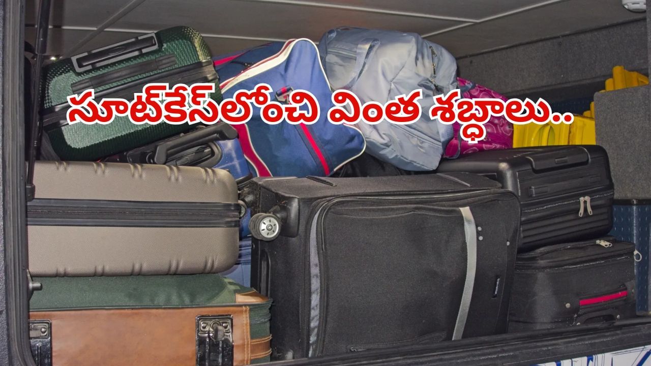 సూట్కేస్లోంచి వింత శబ్ధాలు.. ఓపెన్ చేసిన బస్ సిబ్బంది షాక్.. రంగంలోకి పోలీసులు...