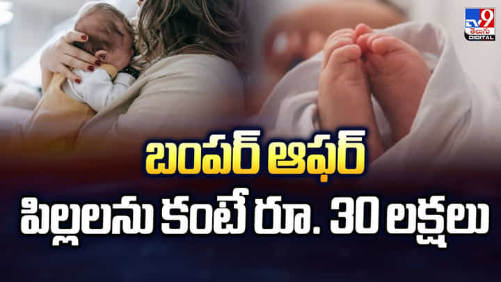 బంపర్ ఆఫర్ పిల్లలను కంటే రూ. 30 లక్షలు బంపర్ ఆఫర్ పిల్లలను కంటే రూ. 30 లక్షలు