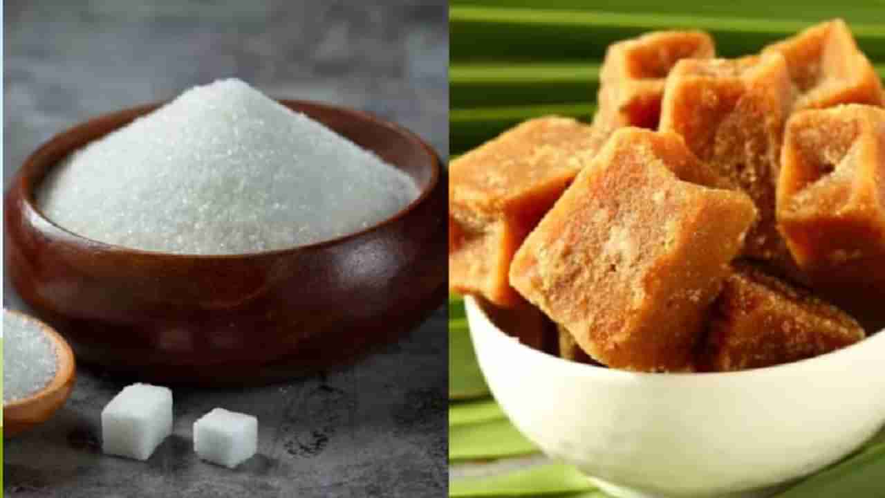 Jaggery or sugar: బెల్లం లేదా చక్కెర.. చిన్న పిల్లల ఆరోగ్యానికి ఏది బెస్ట్!