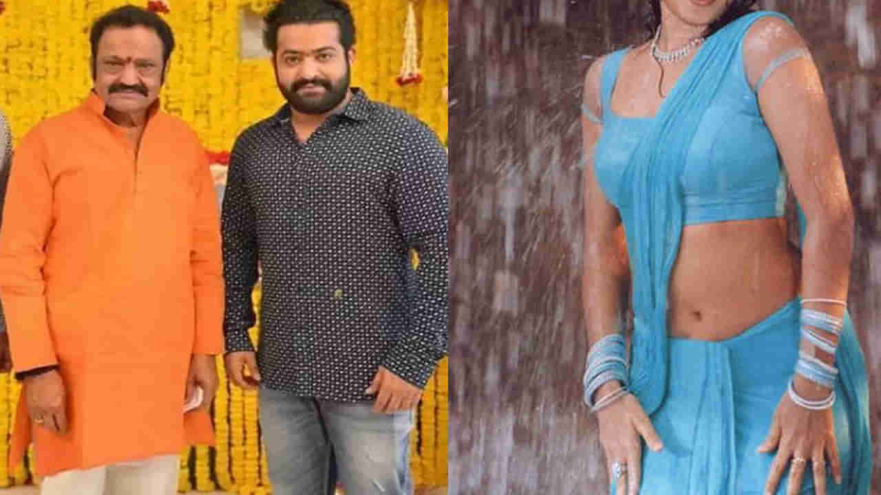 జూ.ఎన్టీఆర్కు లవర్గా, హరికృష్ణకు కోడలిగా నటించిన ఏకైక టాలీవుడ్ హీరోయిన్ ఎవరో తెలుసా? ఇప్పుడు సినిమాలు మానేసి..