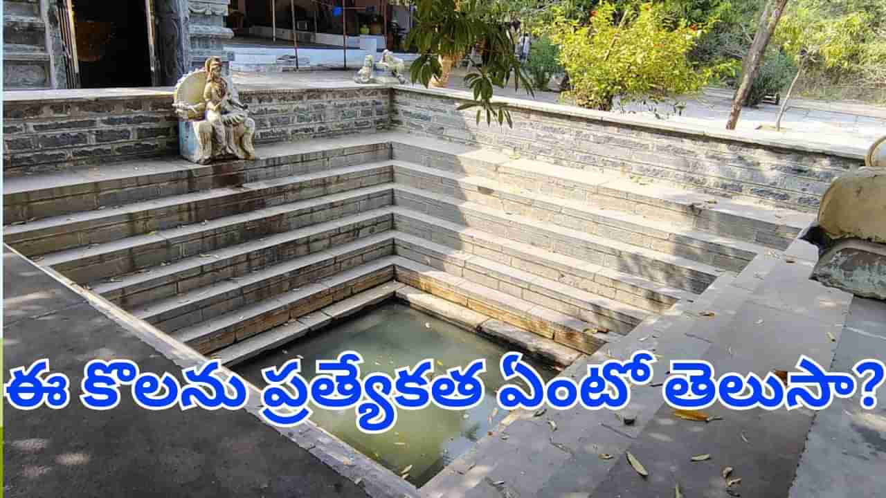 Andhra News: అప్పట్లో దేవకన్యలు స్నానం చేసిన కొలను ఇదేనట.. ఎక్కడుందో తెలుసా?