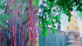 Andhra: ఆటగదరా శివ.. పెళ్లికి వెళ్లి ఇంటికి బయలుదేరాడు.. అంతలోనే..