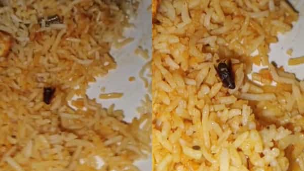 Watch Video: ఆర్డర్ రాగానే ఆతృతగా తిన్నారు.. కాసేపటికే ప్లేట్లో కనిపించింది చూసి.. వ్యాక్..
