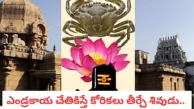 ఎండ్రకాయ చేతికిస్తే కోరికలు తీర్చే శివుడు.. కార్తీక‌మాసం స్పెషల్