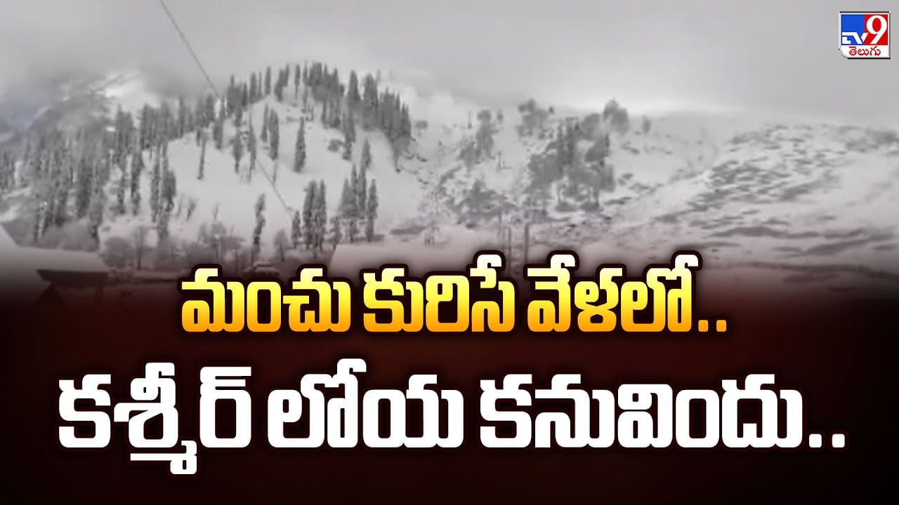 Kashmir Valley: మంచు కురిసే వేళలో.. కశ్మీర్ లోయ కనువిందు