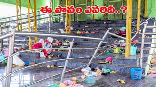 Weather Report: తెలుగు రాష్ట్రాల్లో ఆదివారం వాతావరణం ఎలా ఉంటుంది.. ఇదిగో లేటెస్ట్ వెదర్ రిపోర్ట్..