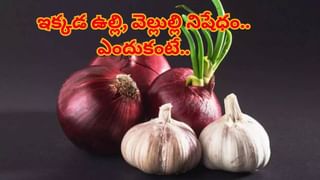 Delhi Blast: ఢిల్లీ పేలుడులో ఉపయోగించిన ప్రమాదకరమైన తెల్ల రసాయనం ఏమిటి?