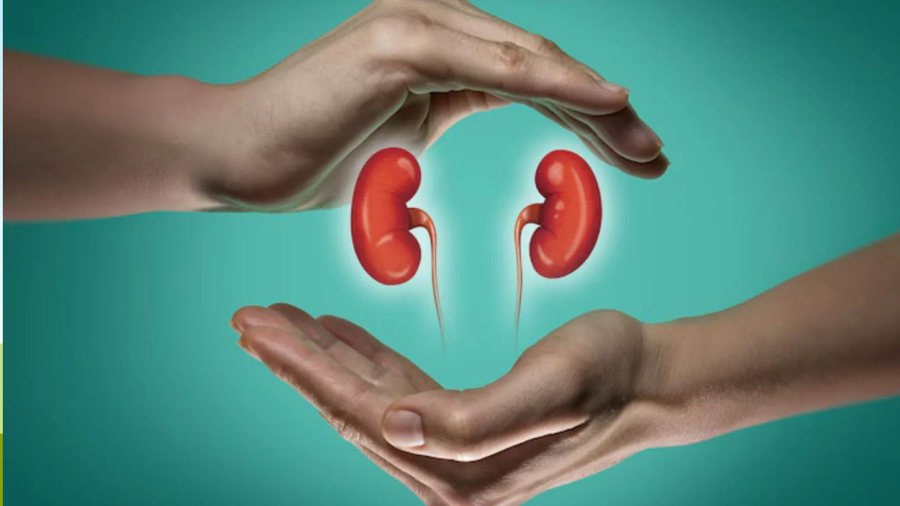 Kidney Health: సైలెంట్ కిల్లర్స్.. ఈ 7 అలవాట్లే మీ కిడ్నీలను నాశనం చేసే యమపాశాలు.. లైట్ తీసుకున్నారో..