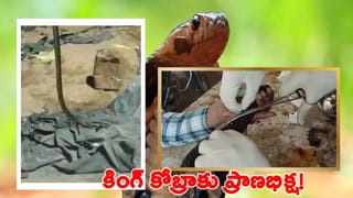 అరుదైన ఖనిజాల కోసం కేంద్ర సంచలన నిర్ణయం.. ఆమోదం తెలిపిన మోదీ సర్కార్..!