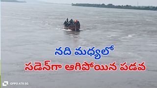 Watch: నది మధ్యలో సడెన్‌గా ఆగిపోయిన పడవ.. తర్వాత ఏం జరిగిందంటే.. ఒళ్లు గగుర్పొడిచే వీడియో