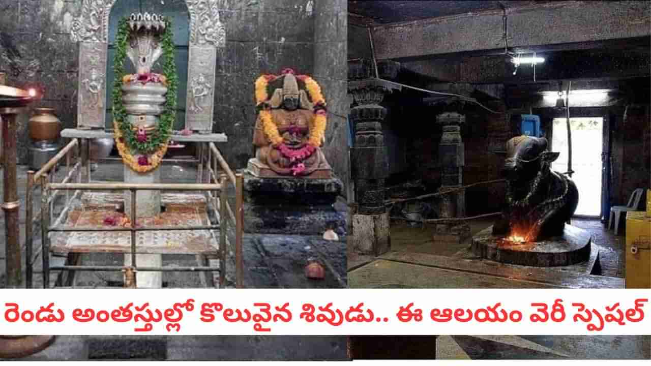 Pancharama Temples: పెరిగిపోతున్న శివలింగాన్ని ఆపడానికి ఈ క్షేత్రంలో ఏం చేశారో తెలుసా?