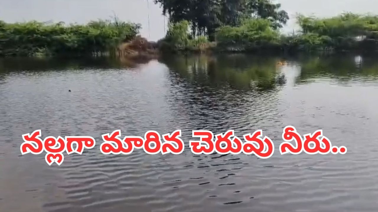Andhra: వామ్మో.. అమావాస్య రోజు ఏం జరిగింది..? నల్లగా మారిన చెరువు నీరు.. వీడియో