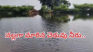 Andhra: వామ్మో.. అమావాస్య రోజు ఏం జరిగింది..? నల్లగా మారిన చెరువు నీరు.. వీడియో