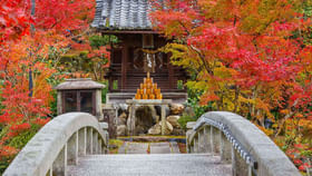 పెళ్లి తర్వాత హనీమూన్ ప్లాన్ ఉంటే.. ఆ ప్లేసులు వరల్డ్‎లోనే బెస్ట్