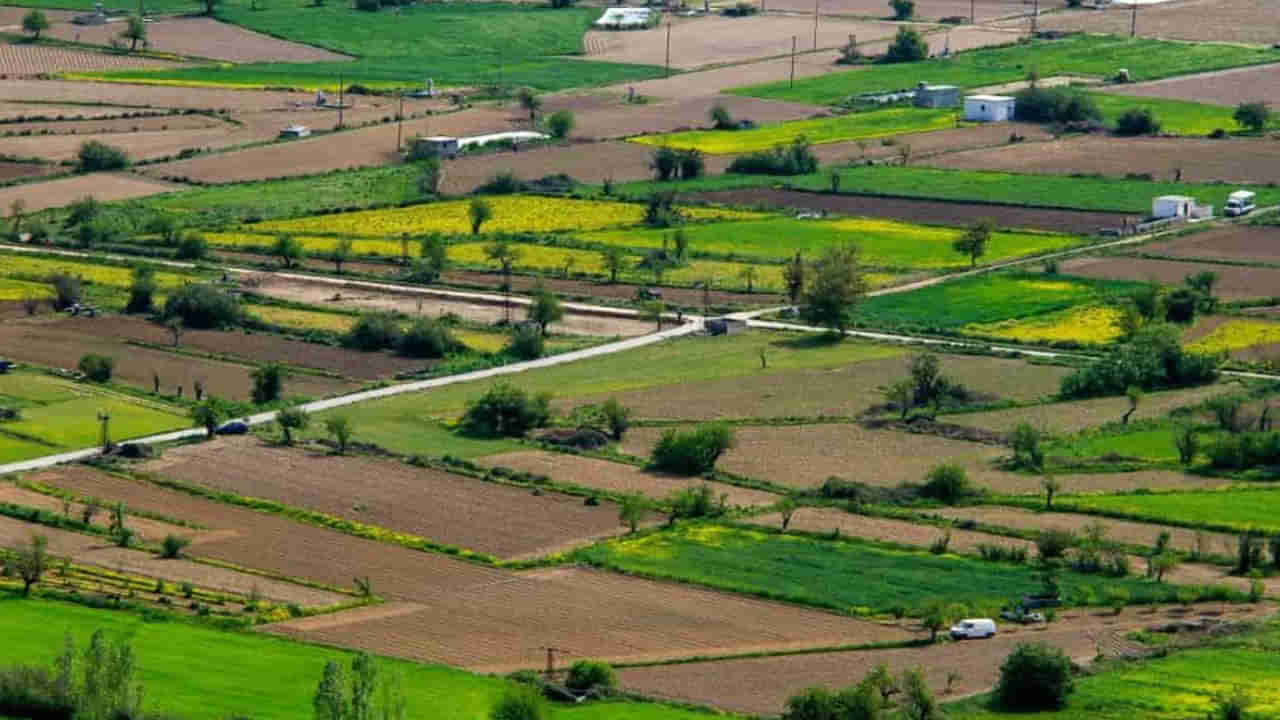 Hyderabad: సిటీ ఔట్ కట్స్లో ప్లాట్ కొనాలనుకుంటున్నారా..? అయితే ఇది తెలుసుకోండి...