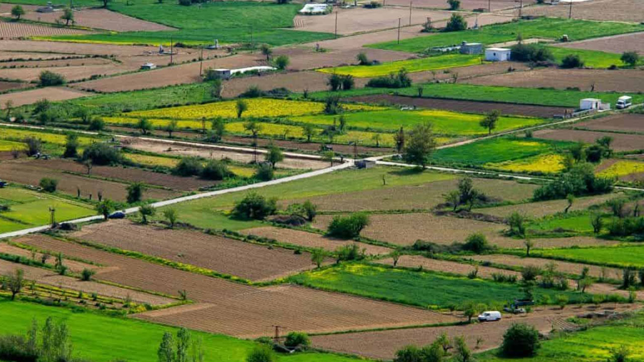 Hyderabad: సిటీ ఔట్ కట్స్లో ప్లాట్ కొనాలనుకుంటున్నారా..? అయితే ఇది తెలుసుకోండి...