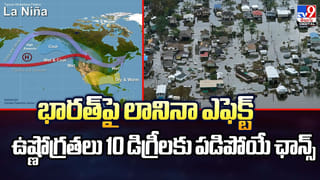 Delhi Blast: ఢిల్లీ కారు పేలుడు కేసులో కీలక పురోగతి.. డాక్టర్లుగా పని చేస్తూ ఇవేం పనుల్రా..?