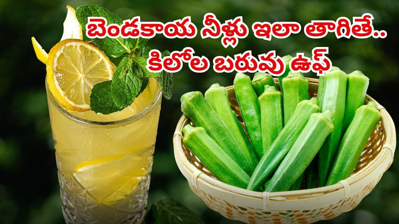 కొవ్వును కొవ్వొత్తిలా కరిగించే బెండకాయ నీళ్లు..! 30 రోజులు ఇలా తీసుకున్నారంటే కిలోల బరువు ఉఫ్