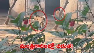 పదోసారి బీహార్‌ ముఖ్యమంత్రిగా నితీష్‌ కుమార్‌.. 26మంది మంత్రులతో ప్రమాణం..!