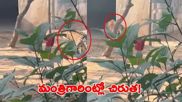 Watch Video: మంత్రి సురేష్ ఇంట్లోకి దూరిన చిరుతపులి.. ఉలిక్కిపడ్డ సిబ్బంది..!