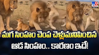 Butter Chicken: ప్రపంచ ఉత్తమ చికెన్‌ రెసిపిగా బటర్ చికెన్‌