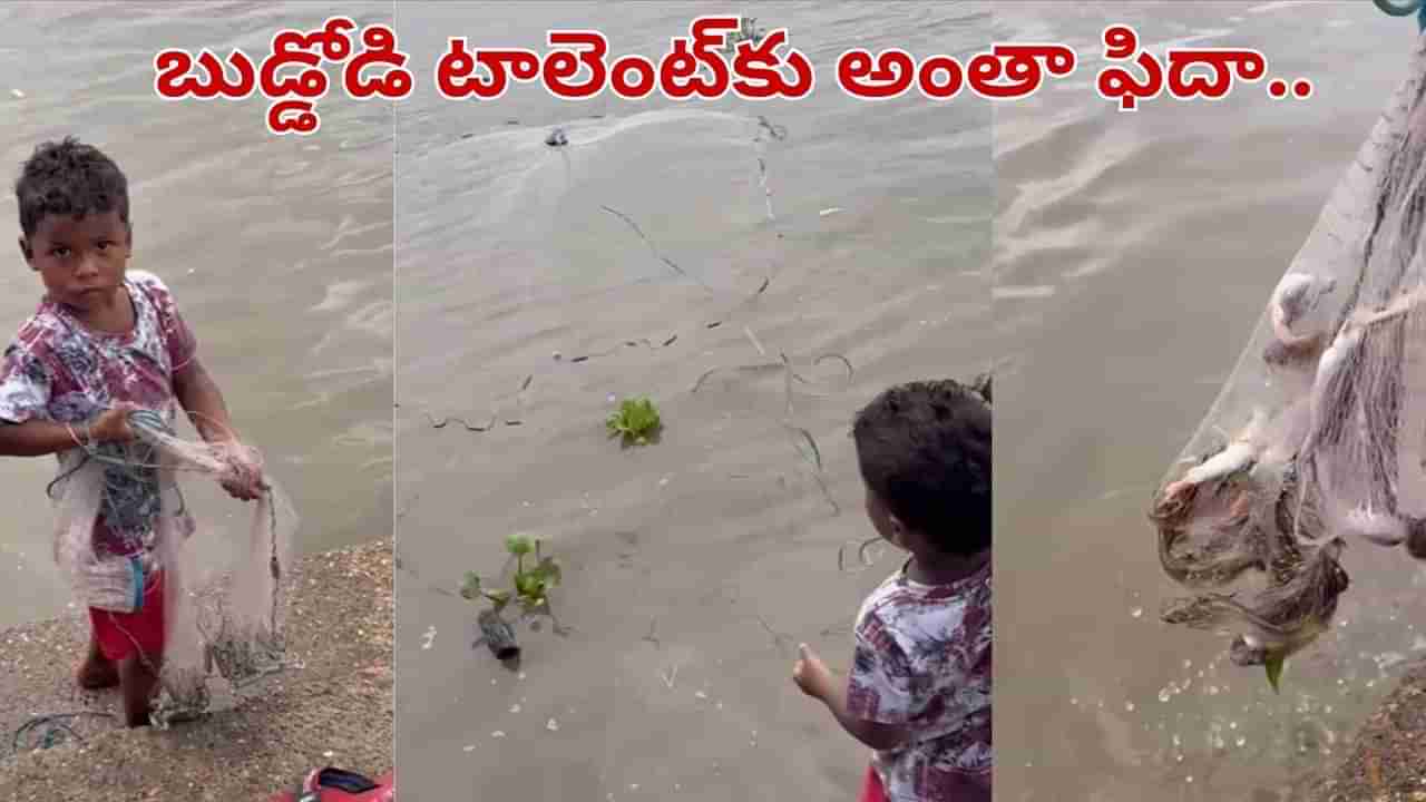 Viral Video: బుడ్డోడి మ్యాజిక్.. చేపలన్నీ పరిగెత్తుకుంటూ వచ్చాయి.. వీడియో చూస్తే అవాక్కే..