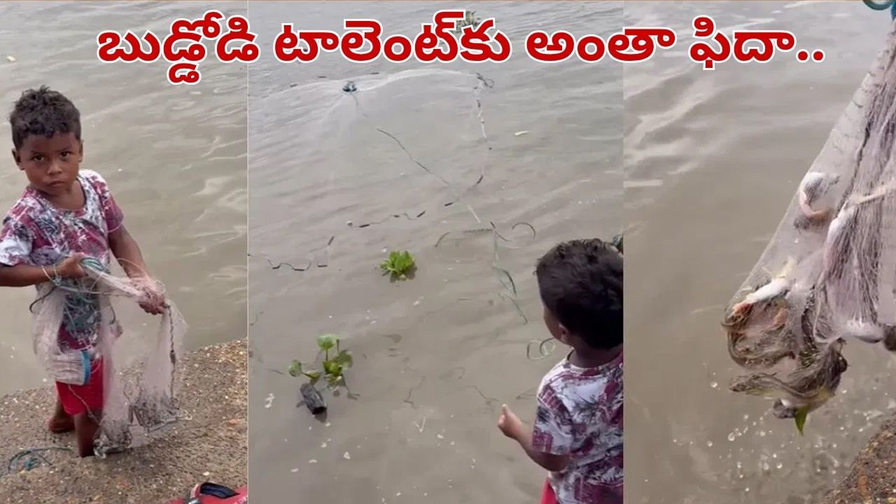 Viral Video: బుడ్డోడి మ్యాజిక్.. చేపలన్నీ పరిగెత్తుకుంటూ వచ్చాయి.. వీడియో చూస్తే అవాక్కే..