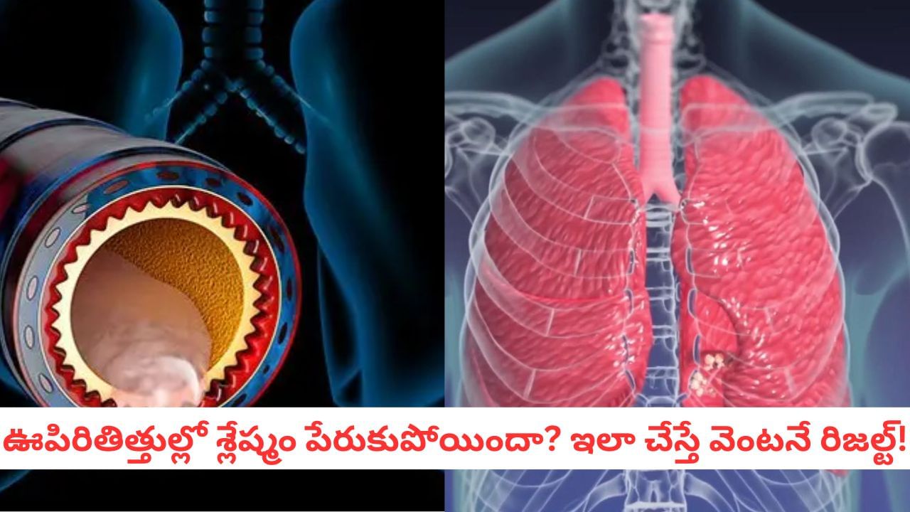 Lung Health: రాత్రి పడుకునే ముందు ఈ ఒక్క పని చేస్తే చాలు.. పేరుకుపోయిన శ్లేష్మం అంతా బయటకు!