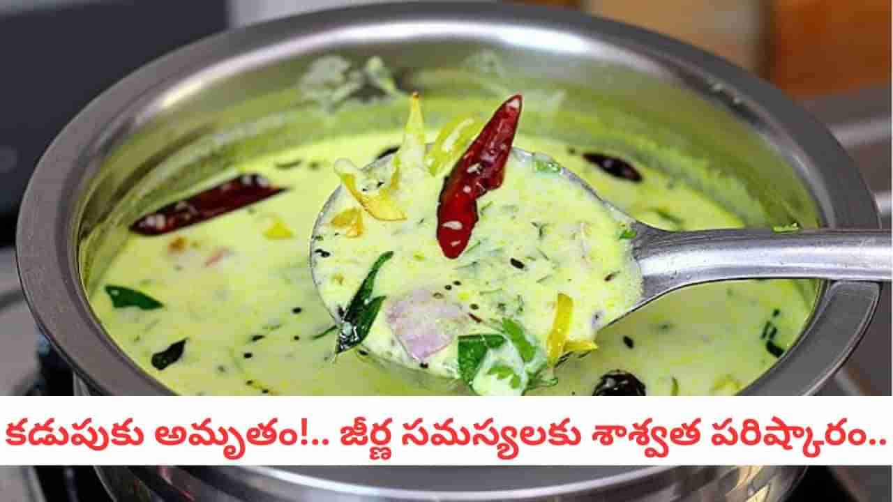 Perugu Pulusu Recipe: పెరుగు విరగకుండా.. అసలు సిసలైన చిక్కటి పెరుగు పులుసుకు ఇదే సీక్రెట్