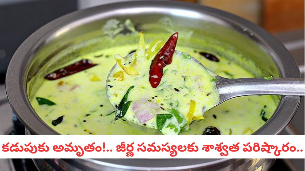 Perugu Pulusu Recipe: పెరుగు విరగకుండా.. అసలు సిసలైన చిక్కటి పెరుగు పులుసుకు ఇదే సీక్రెట్