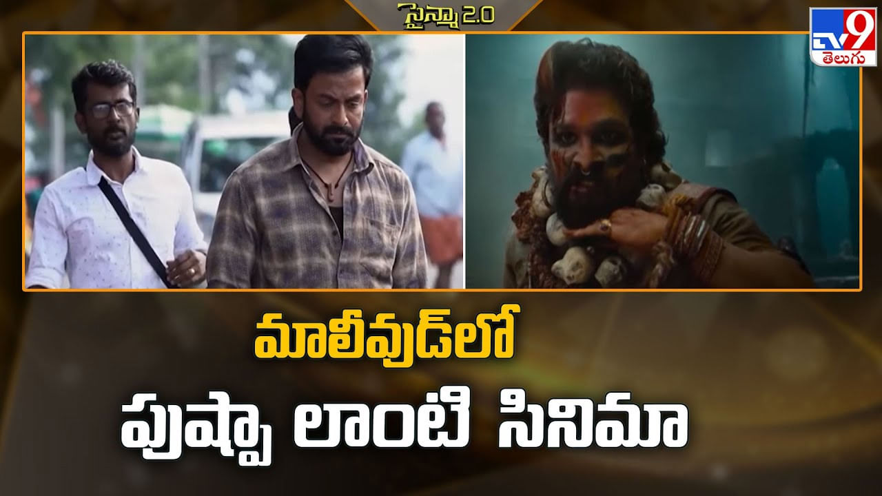 మాలీవుడ్‌లో పుష్పా లాంటి సినిమా.. హీరో అతనే