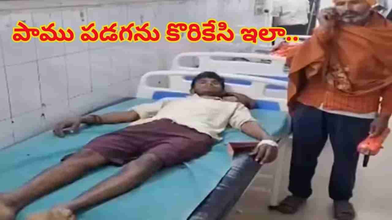 ఓరీ దేవుడో.. పాము కాటేసిందని..దాని తలనే కొరికేశాడు.. కట్‌చేస్తే ఇదీ పరిస్థితి..!