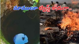 Starlink: భారత్‌లో స్టార్‌లింక్ సేవలు.. ఇక గ్రామాల్లోనూ హైస్పీడ్ ఇంటర్నెట్.. ముందుగా ఏ రాష్ట్రంలో అంటే?
