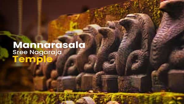 Mysterious Kerala Temple: సైన్స్ సైతం చేధించలేని మిస్టరీ సర్ప దేవాలయం.. వణుకు పుట్టించే రహస్యాలు!