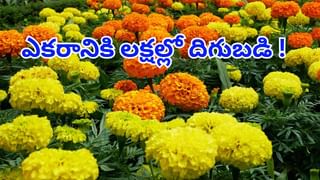 Vande Bharat Trains: రైలు ప్రయాణికులకు గుడ్‌న్యూస్‌.. ఈ మార్గాల్లో కొత్తగా మరో 4 వందే భారత్‌ రైళ్లు!