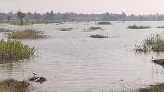 Watch: ప్రేమ పెళ్లి చేసుకున్నారని దారుణం.. యువతి కుటుంబ సభ్యులు ఏం చేశారో చూడండి..