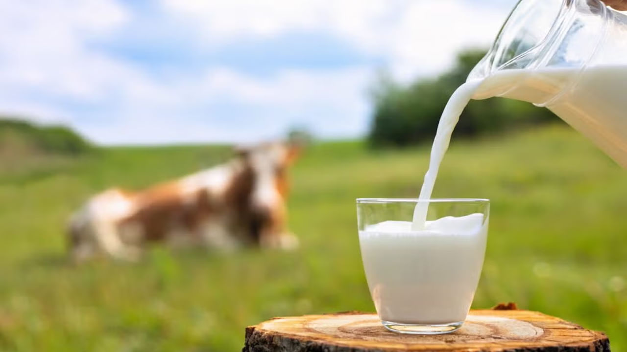 నిత్యం సాదా పాలు తాగే బదులు పాలలో పసుపు కలిపి తాగాలి. ఇది రోగనిరోధక శక్తిని పెంచడంలో సహాయపడుతుంది. ఇది మాత్రమే కాదు బలాన్ని కూడా పెంచుతుంది. పసుపు మిమ్మల్ని ఆరోగ్యంగా ఉంచడంలో సహాయపడుతుంది.