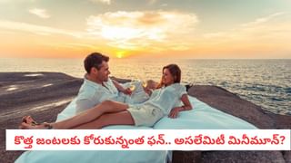 Fitness Tips: గ్లూకోజ్ లెవెల్స్ వెంటనే కంట్రోల్! భోజనం తర్వాత మీరు చేయాల్సిన ఆ సీక్రెట్ ఇదే!