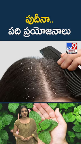 పుదీనా.. పది ప్రయోజనాలు