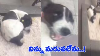 Viral Video: రైల్వే బ్రిడ్జిపై మృత్యువుతో ఆటలా.. ఒళ్లు గగుర్పాటుకు గురి చేస్తున్న వీడియో!