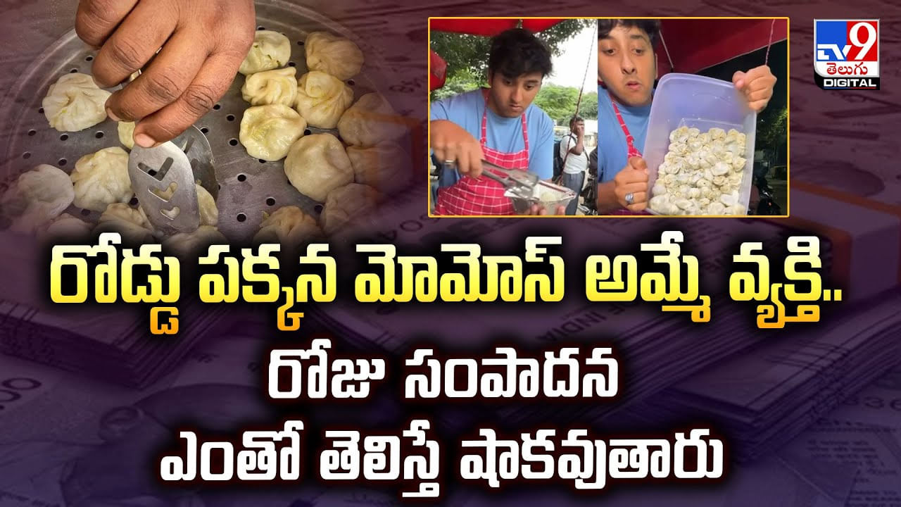 రోడ్డు పక్కన మోమోస్ అమ్మే వ్యక్తి.. రోజు సంపాదన ఎంతో తెలిస్తే షాకవుతారు