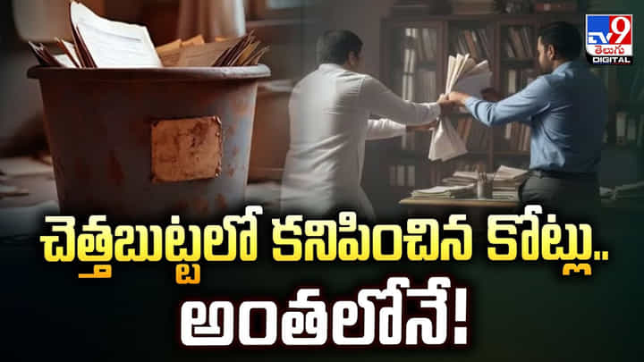 చెత్తబుట్టలో కనిపించిన కోట్లు.. అంతలోనే చెత్తబుట్టలో కనిపించిన కోట్లు.. అంతలోనే