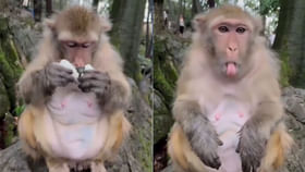 Viral Video: ఎవడ్రా నువ్వు.. మురిగిపోయిన గుడ్డు ఇచ్చావు...