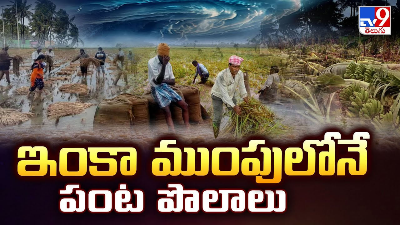 Montha Effect: ఇంకా ముంపులోనే పంట పొలాలు Montha Effect: ఇంకా ముంపులోనే పంట పొలాలు