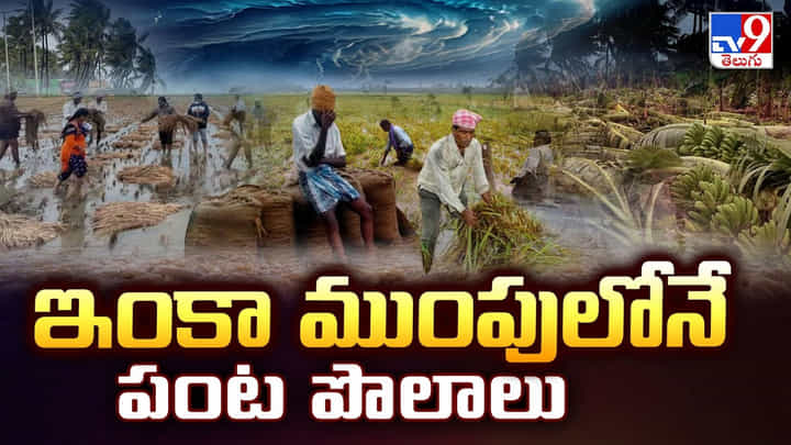 Montha Effect: ఇంకా ముంపులోనే పంట పొలాలు Montha Effect: ఇంకా ముంపులోనే పంట పొలాలు