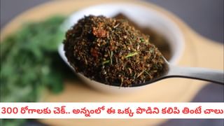 Gut Health: జీర్ణవ్యవస్థకు ‘గోల్డెన్ స్పూన్’ ట్రీట్‌మెంట్! రోజుకో చెంచా తాగితే చాలు..