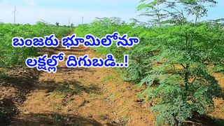 కంటి చూపు మంద‌గించే ముందు కనిపించే లక్షణాలు.. నిర్లక్ష్యం చేశారంటే..