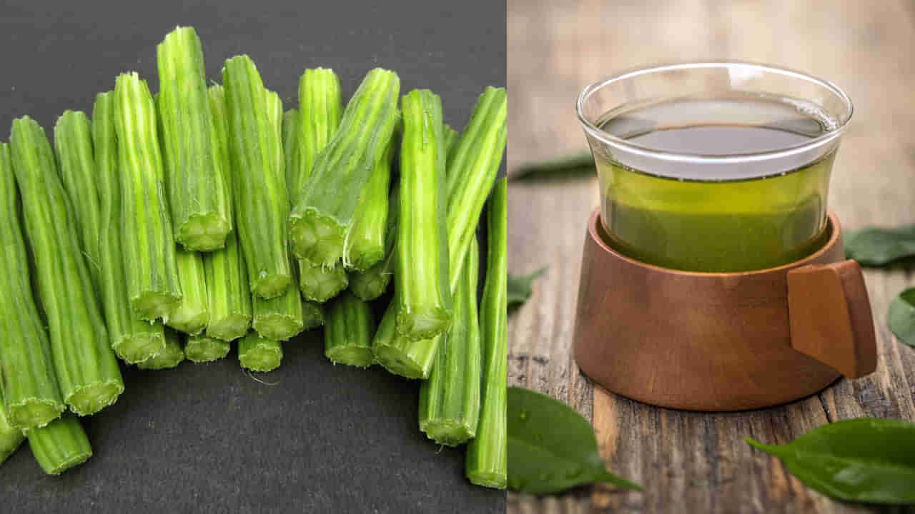 Drumstick Water: పరగడుపున మునగకాయ నీరు తీసుకోవడం వల్ల కలిగే లాభాలు తెలిస్తే..