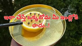 Sugarcane Vs Juice: చెరకు Vs రసం.. ఆరోగ్యానికి ఏది బెటర్.. ఈ ఒక్క విషయం తెలిస్తే..